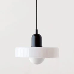 Modern Colorful Glass Shade Pendant Light -Demolights Sales Store DL10361 black white 1