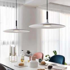Industrial Simple Graceful Flying Saucer Pendant Light -Demolights Sales Store DL2001 10