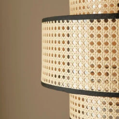 Creative Rattan Weaving Lamps Hanging Lampshade -Demolights Sales Store DL3010872 7