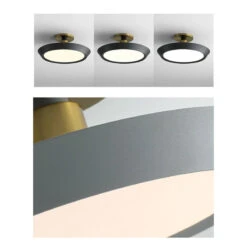 Creative Colored Metal Ring Flush Mount Ceiling Light -Demolights Sales Store Image01 8b83afbe 761e 4b59 bef1 c118975855cc